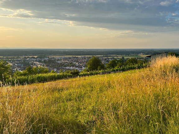 22-06-15 20-32-13 1102